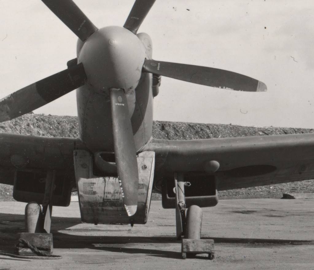 Spitfire Mk XIX