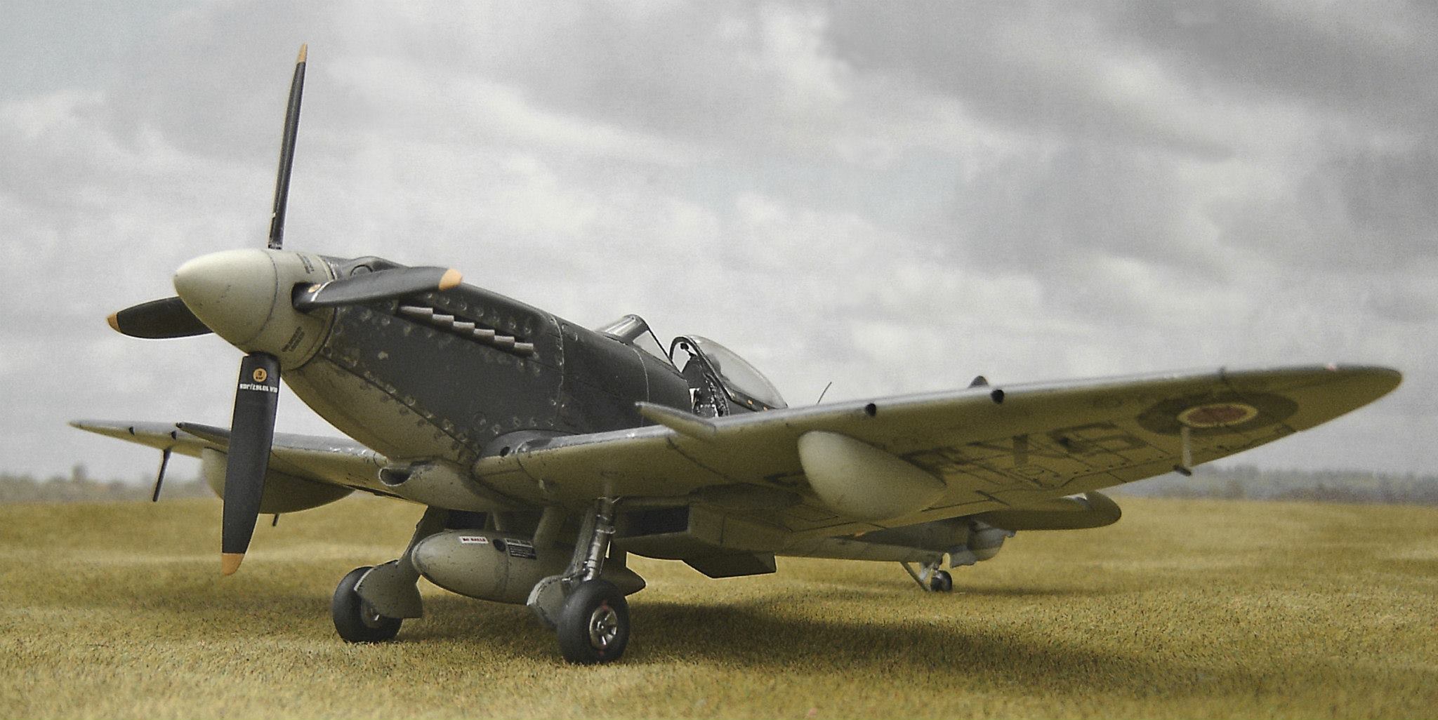 Seafire Mk XVII