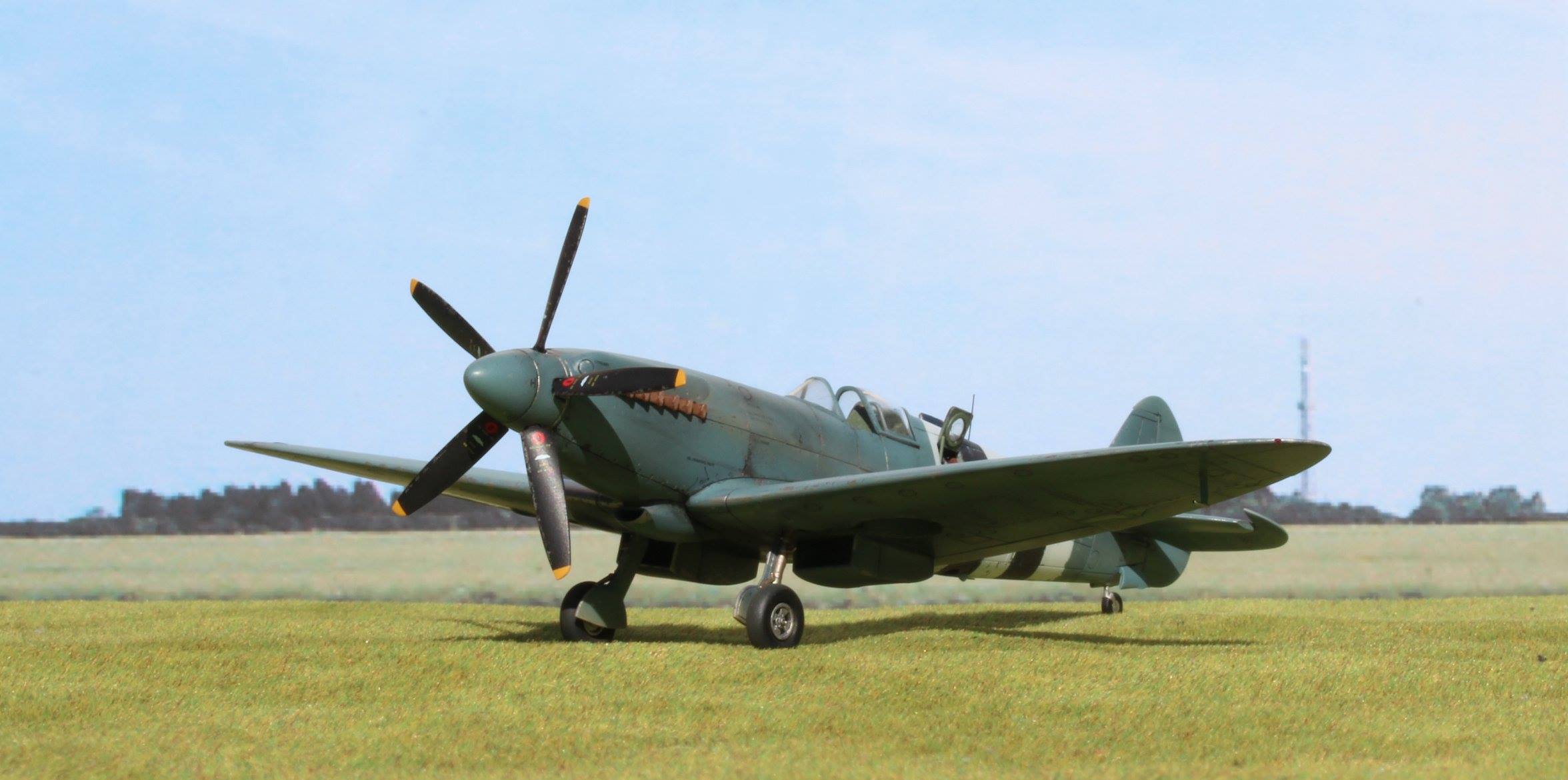 Spitfire Mk XIX (early)